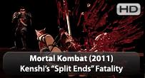 Kenshi Fatality 2