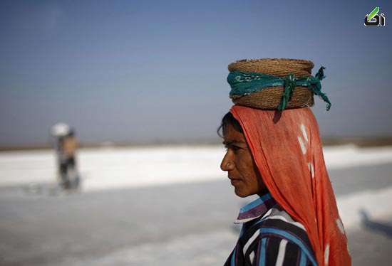 عکس های دیدنی جهان,تصاویر جالب از نمکستان هندی! هند,نمکستان,نمک
