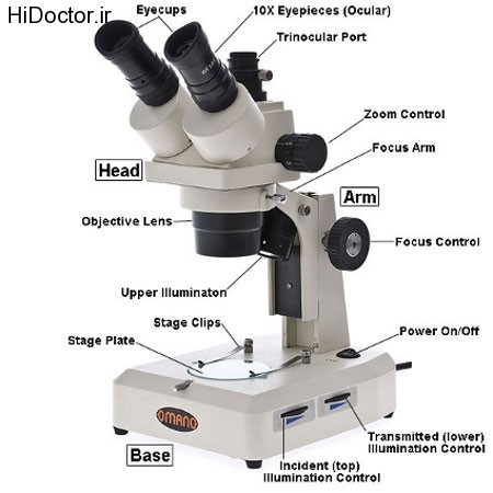 ,میکروسکوپ نوری استریوزوم,میکروسکوپ نوری,میکروسکوپ استریوزوم,مقالات پزشکی و بهداشتی،توصیه های پزشکی ، بهداشت