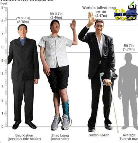 قد بلند ترین ها , قد بلند ترین آدم در جهان 