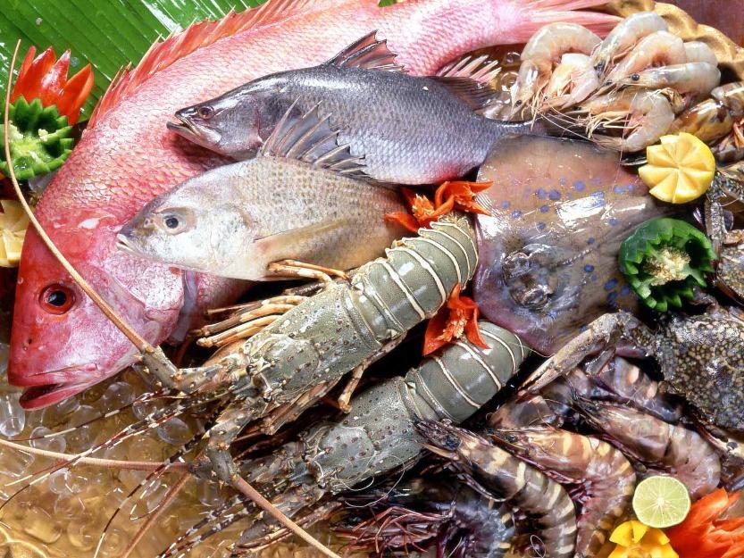 فواید ماهیpdf , مضرات ماهی پرورشی کپور , گوشت ماهی 