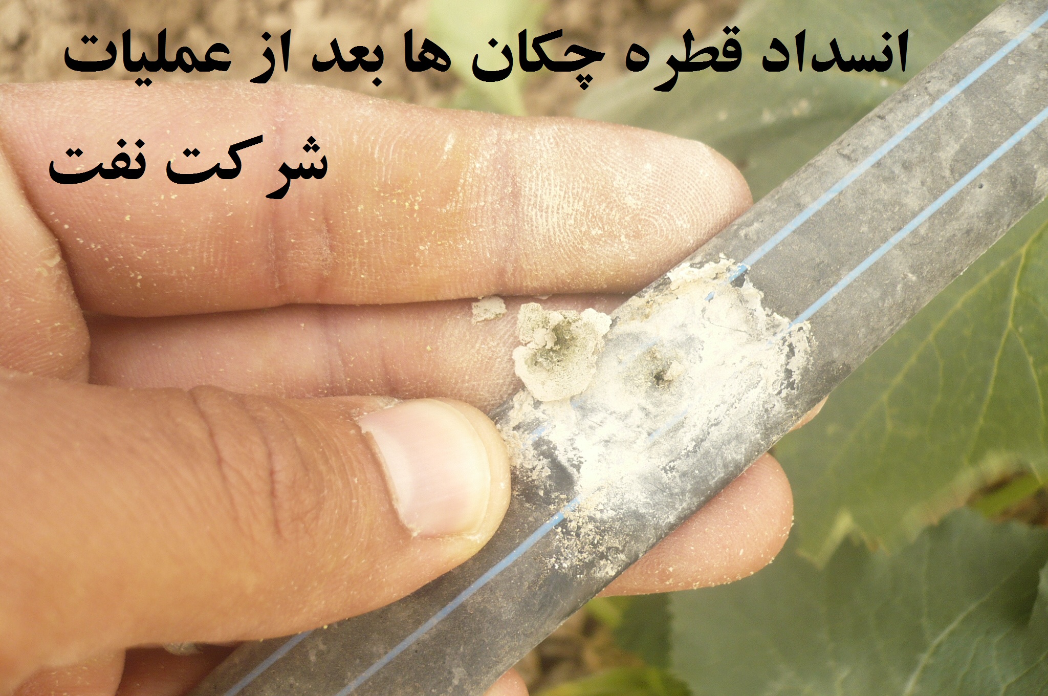 تخریب یک باغ نمونه در ایذه توسط شرکت خطوط لوله نفت اصفهان