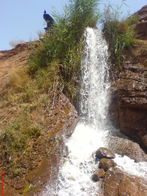 آبشار رونج