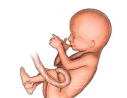 احساس حرکت جنین در واژن , لگد زدن جنین به مثانه , لگد زدن جنین در زیر شکم 