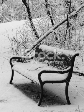 istockphoto_468868_bench_in_winter.jpg