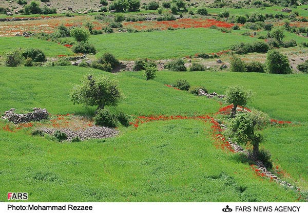 طبيعت بهاري در استان مازندران
