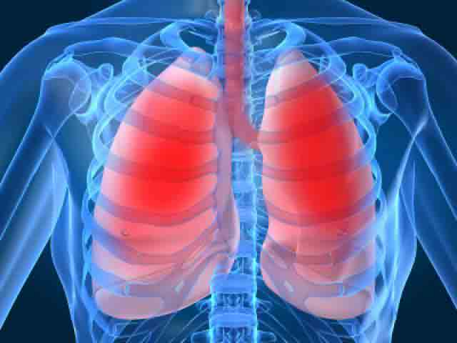 درمان آلرژی تنفسی , آلرژی تنفسی , الرژی ریه 
