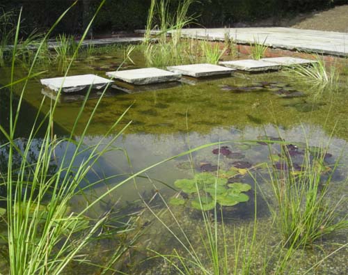 GartenArt1 Before and After – Making a Natural Swimming Pool