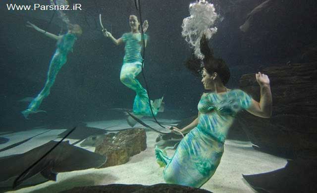 www.parsnaz.ir - رقص پری های دریایی واقعی مردم را شگفت زده کرد + تصاویر