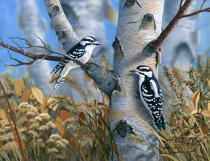 نقاشی بی نظیر از پرندگان