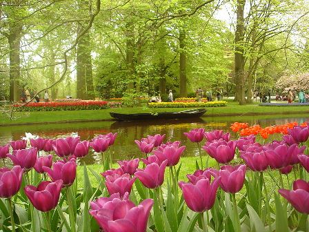 عکسهایی از شهر آمستردام هلند , باغ کاواچی فوجی 