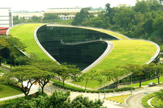 معماری مدرسه هنر در سنگاپور,سقف سبز  مدرسه,معماری در دانشگاه