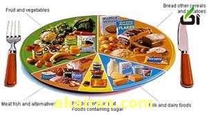 رژیم غذایی مناسب , رژیم غذایی لاغری , برنامه رژیم غذایی 