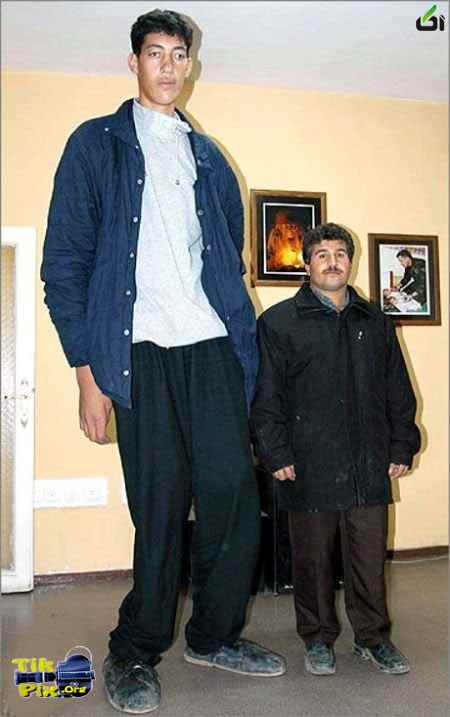 بلند ترین قد فرد جهان , بلند قدترین مرد ایران 