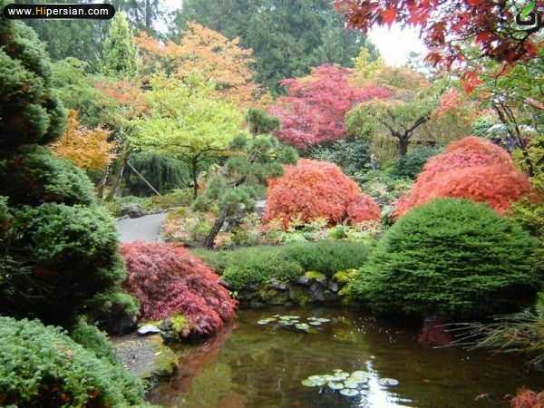 تصاویر زیباترین باغها 