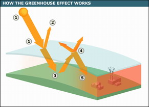 greenhouse_effect_4161.jpg