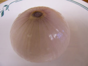 Onion2 سفره آرایی با پیاز