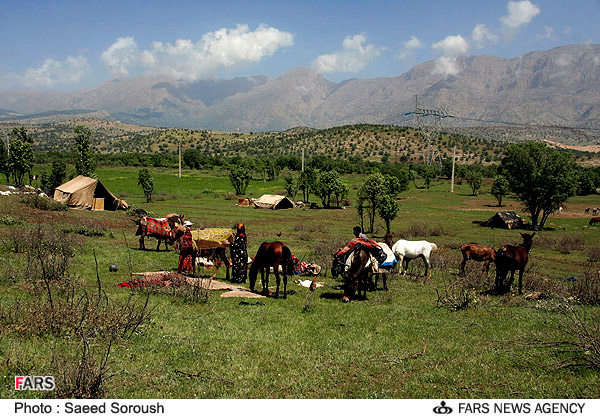 عشاير هنگام برپا کردن چادر در طبيعت بهاري اطراف خرم آباد