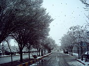 پيشينه ي شهر زنجان از ديدگاهي وسيعتر ...........
