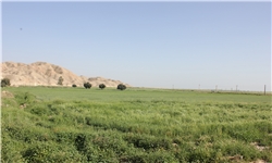 خبرگزاری فارس: «مزرعه تابستانی من» در آموزش و پرورش