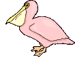 pelican  animations