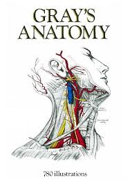 کتاب آناتومی بدن انسان+ گری