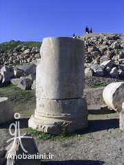 ستون های باقیمانده از معبد آناهیتا؛ کنگاور؛ عکس از آنوبانینی