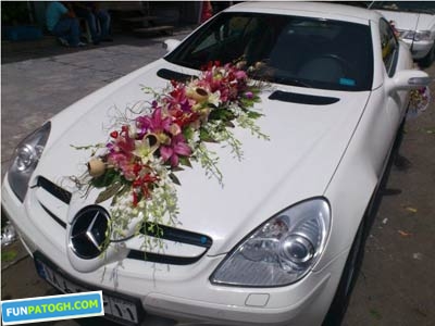 مدل تزئین ماشین عروس
