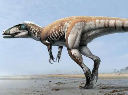اخبار,اخبار علمی وآموزشی,کشف ردپای 120میلیون ساله دایناسور درایتالیا