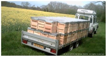 یک تریلر انگلیسی مناسب جهت حمل کلنی های زنبور عسل
