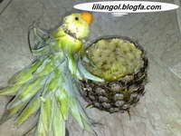 تزیین آناناس به شکل طوطی