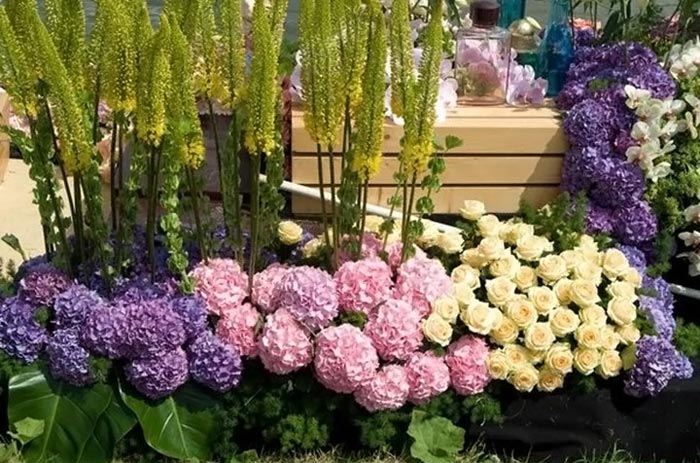 تصاویر بازار شناور گل و میوه در هلند,عکس بازار گل محلاتی,عکس بازار گل