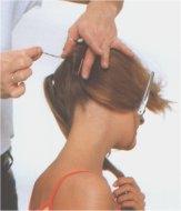 Image8 آموزش کامل انواع شینیون مو