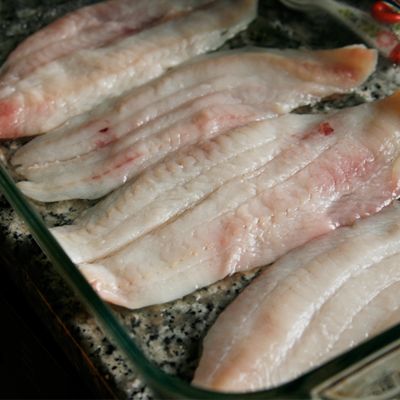 پخت ماهی حلوا سیاه 