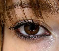 آرایش چشم مخصوص چشم های قهوه ای
