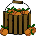 bees and basket of oranges  animation