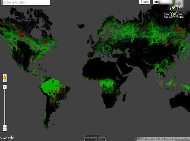 نقشه ی جنگلهای جهان 