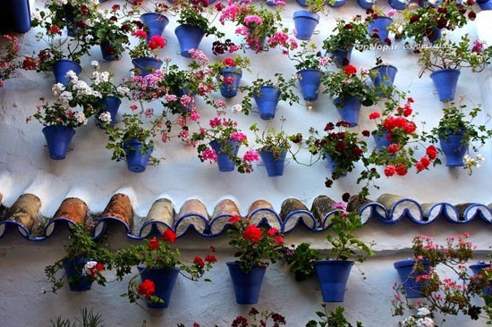 ,جشنواره ای پر از گل در اسپانیا +عکس جشنواره,گل,اسپانیا,جالب انگیز