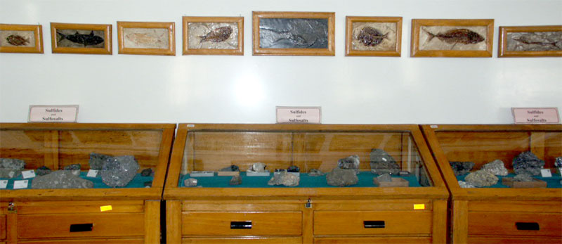 این موزه دارای مجموعه کاملی از سنگ ها و کانی های منحصر به فرد از سراسر جهان و ایران می باشد