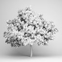 مدل درختان استوایی نخل