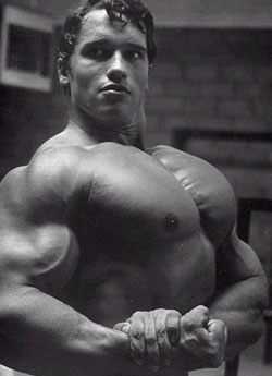 Arnold-Schwarzenegger-Chest.jpg