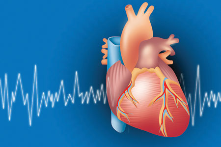 ,صدای قلب خبر می‌دهد از درد درون! سلامت قلب,بیماری قلبی,مقالات پزشکی و بهداشتی،توصیه های پزشکی ، بهداشت