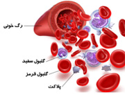 میزان پلاکت های خون