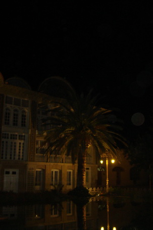 باغ ارم در شب