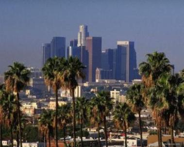 درختهای نخل در لس آنجلس