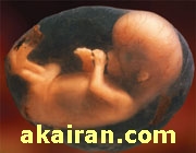 روانشناسی جنین , تربیت کودک در دوران بارداری , تاثیر مطالعه بر جنین 