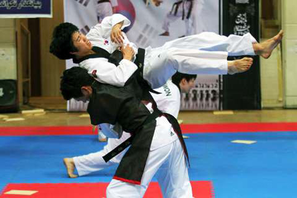 taekwondo-fajr%20(8).jpg
