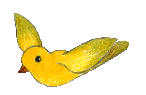 yellow bird  animations