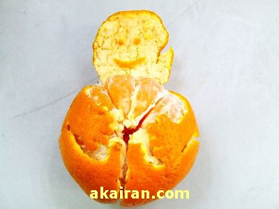 تزیین نارنگی 
