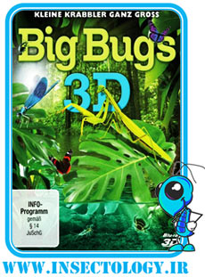 دانلود مستند بسیار زیبای حشرات غول پیکر (Big Bugs, 2012)
